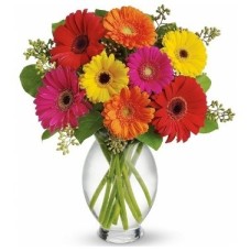 Gerberas, florero incluido