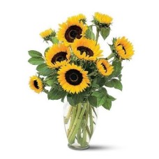 Girasoles. Jarrón incluido