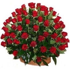 Canasta de centenas de rosas