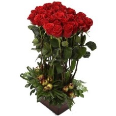Rosas altas