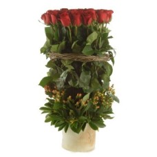 anillo de rosas