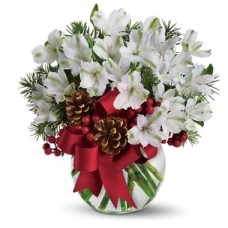 blanca Navidad