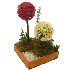 flores de campo