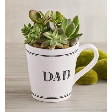 Taza "Papá" Jardín de suculentas