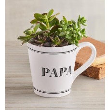 Taza "Papá" Jardín de suculentas