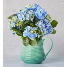 Hortensias en jarra