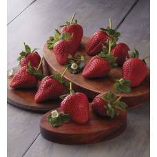 Fresas gigantes claras