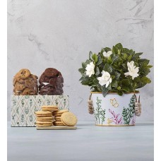 Gardenia con galletas