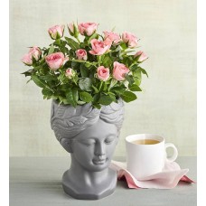 Mini rosa en maceta con forma de busto