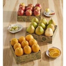 Triple Trato Grand Fruit
