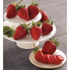 Fresas gigantes