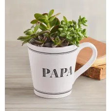 Taza "Papá" Jardín de suculentas