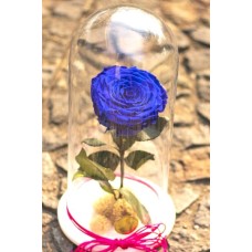 Rosa Preservada Xxl En Cápsula (Rosa Preservada XXL En Cápsula)