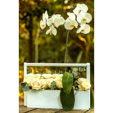 Orquidea (Without Orchid)