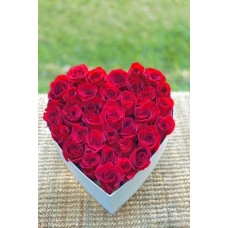 Amor 1
