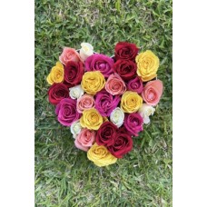 Amor 3
