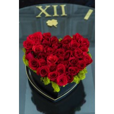 AMOR8