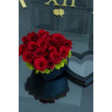 AMOR 8