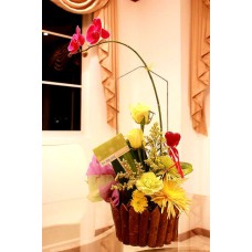 Orchid arreglado