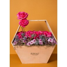 24 rosas de jardín