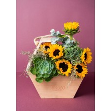 Cesta de Madera Girasoles y Suculentas