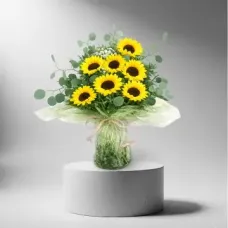 Danza de los Girasoles (Normal)
