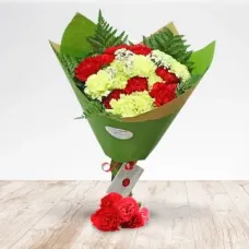 Bouquet of carnations (Normal)