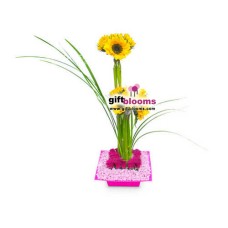 Arreglo Floral para Ella - ELLA005