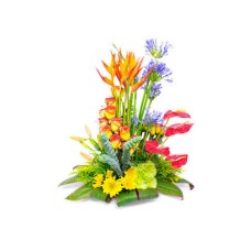 Arreglo Floral para Ella - ELLA009