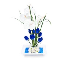 Flores Azules - FAZ001