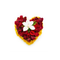 Arreglo Floral párrafo Decir Lo Siento - LOS027