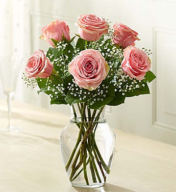 Loves Embrace Rosas - Rosa
