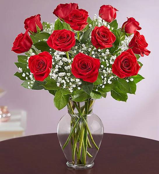 Rosas rojas Rose Elegance Premium de 18 tallos