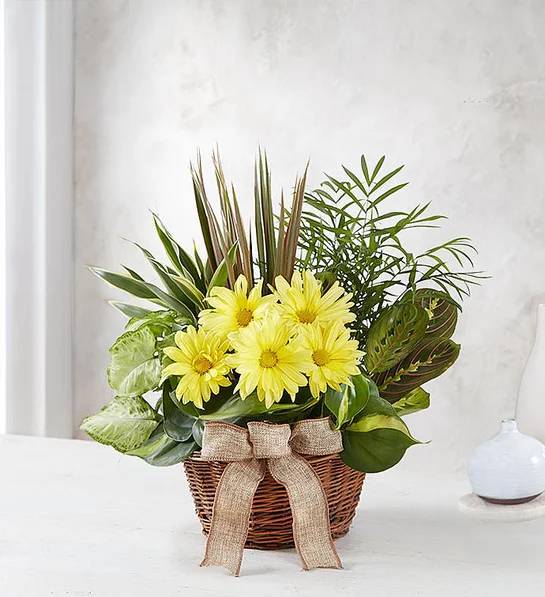 Jardín en maceta con flores frescas cortadas (pequeño)