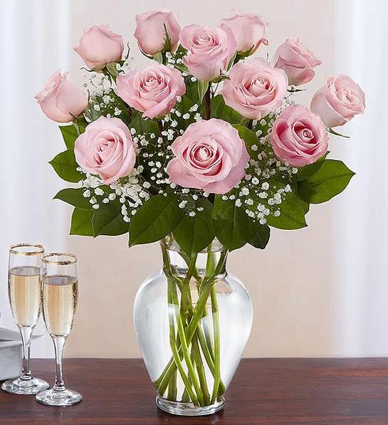 Rosas rosadas Rose Elegance Premium de 18 tallos largos