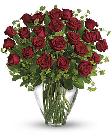 Mi Amor Perfecto - Rosas Rojas de Tallo Largo (Estándar)