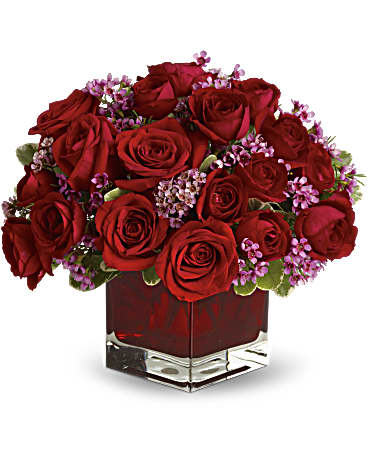 Nunca te dejes ir - 18 Rosas Rojas (Estándar)