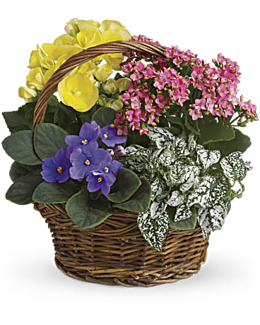 Cesta mixta con la llegada de la primavera
