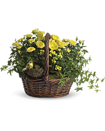 Cesta del trío amarillo