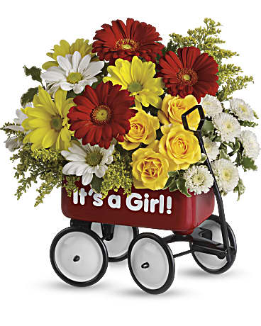 Carrito de bebé de - Niña (Estándar)