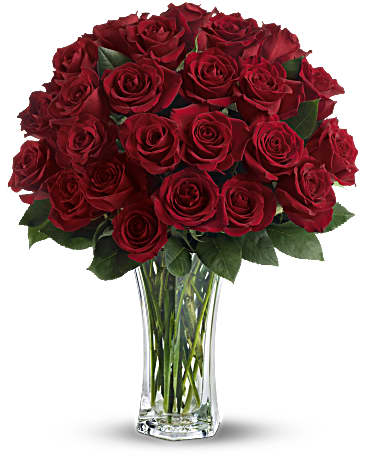 Amor y Devoción - Rosas Rojas de Tallo Largo (Estándar)