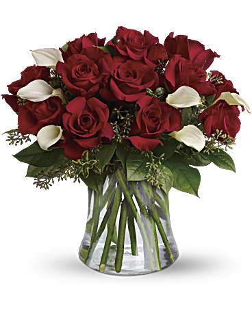 Be Still My Heart - Dozen Red Roses (Estándar)