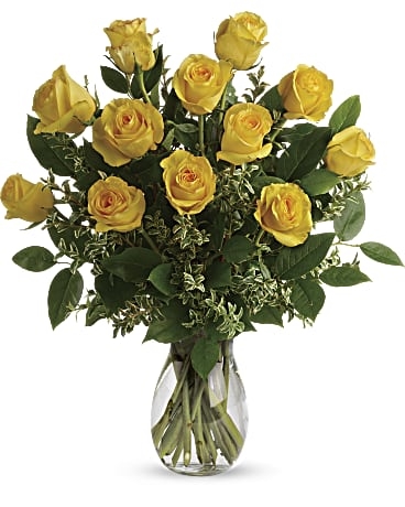 Di "Ramo Amarillo" (Estándar)