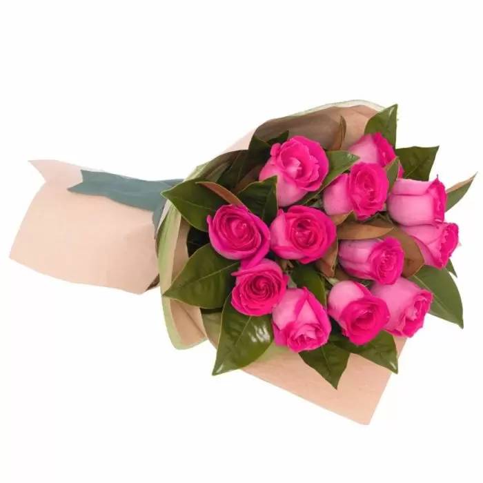 Docena de rosas fucsias