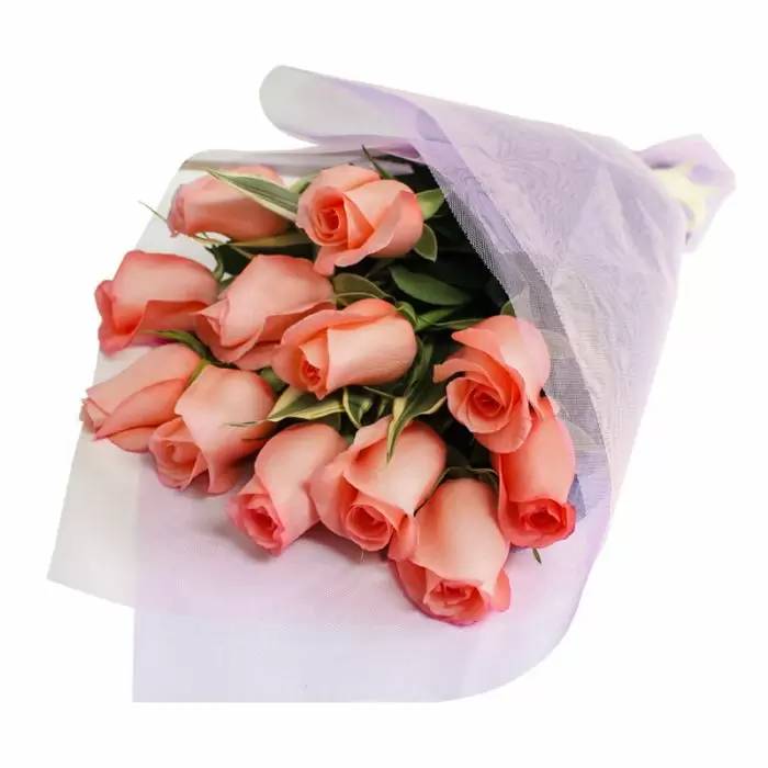 Docena de rosas rosadas