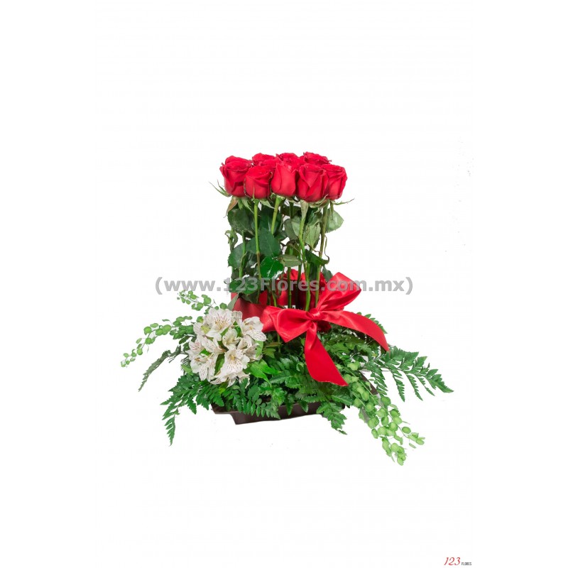 Kioto (18 rosas)