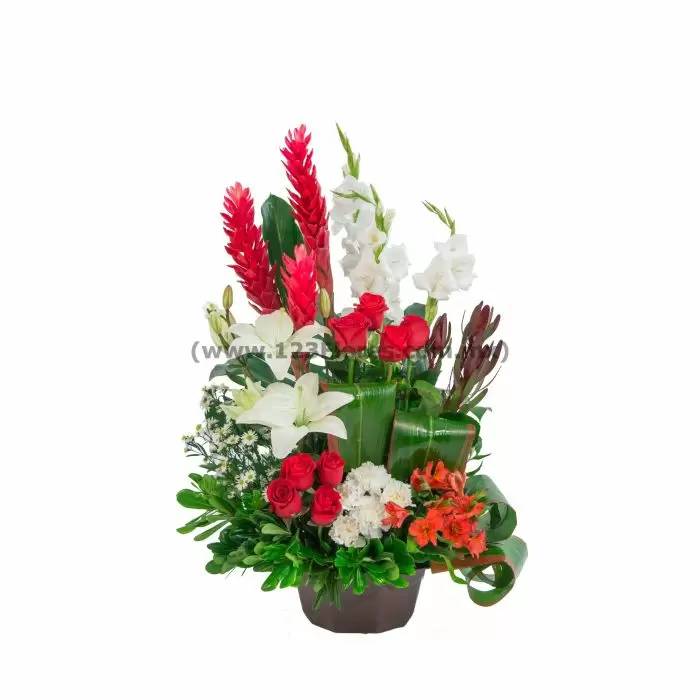 Pequeño jardín
