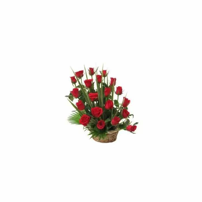 Cuna del amor (20 rosas)