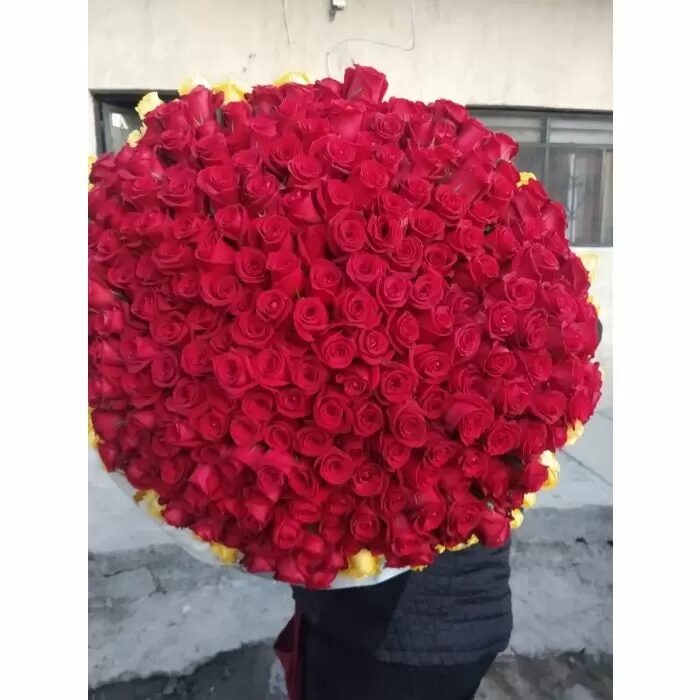 Ramo Buchon (300 rosas)