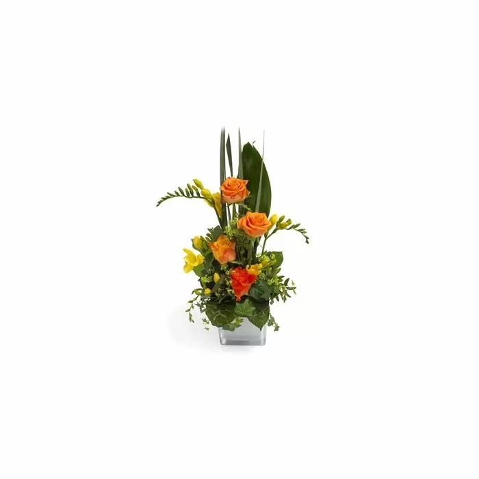 Floral Detail (Orange)
